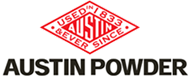 austin-power